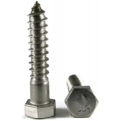HEX LAG/DESK SCREW SS304