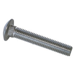 Carriage Bolt SS304