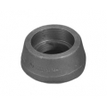 Buttweld Branch Outlet Fittings